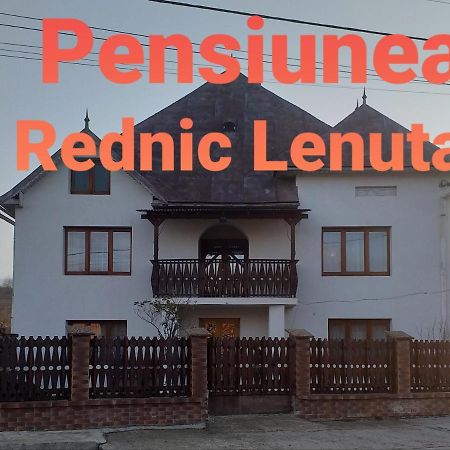Pensiunea Rednic Lenuta Giulesti Exterior photo