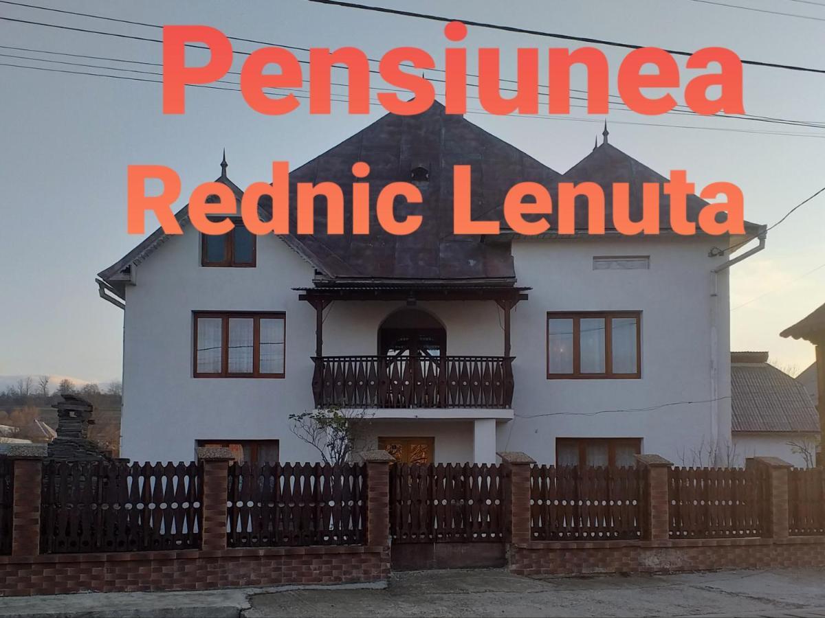 Pensiunea Rednic Lenuta Giulesti Exterior photo