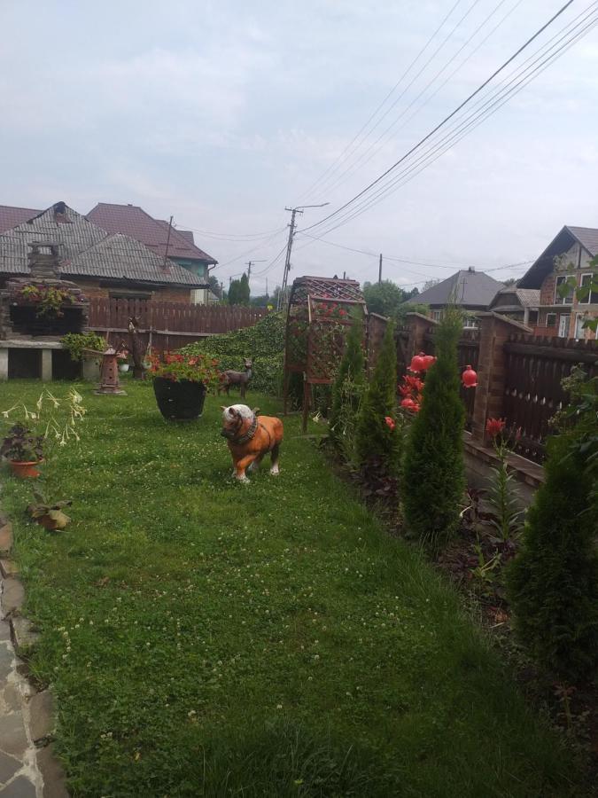 Pensiunea Rednic Lenuta Giulesti Exterior photo
