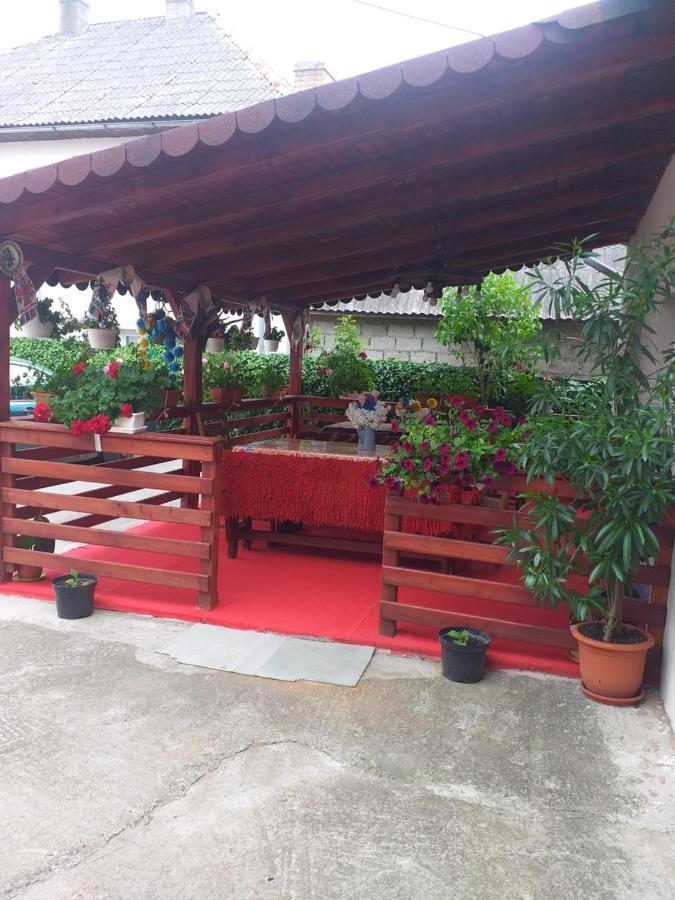 Pensiunea Rednic Lenuta Giulesti Exterior photo